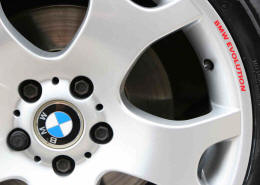 BMW EVOLUTION Wheel Rim Decals by HighgateHouse