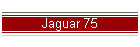 Jaguar 75
